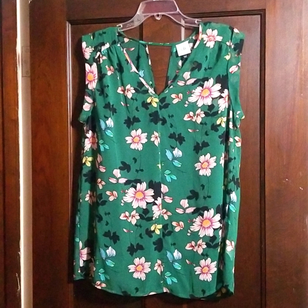 CAbi Shadow Blouse